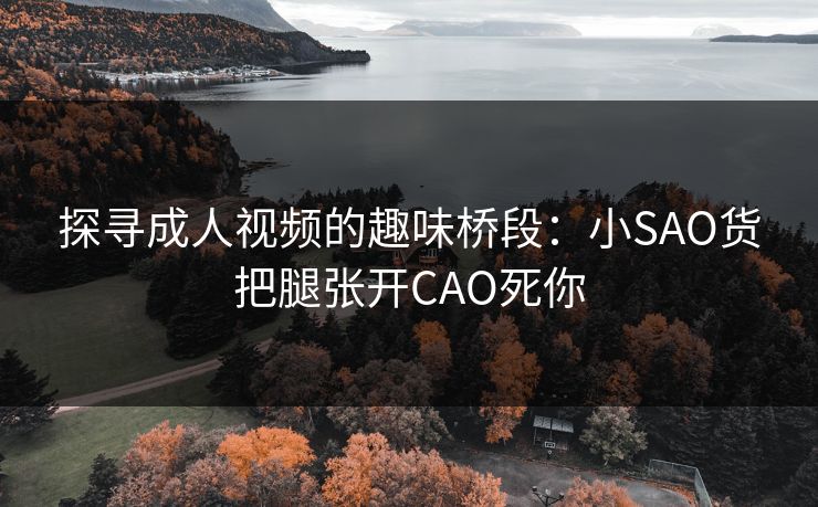 探寻成人视频的趣味桥段：小SAO货把腿张开CAO死你