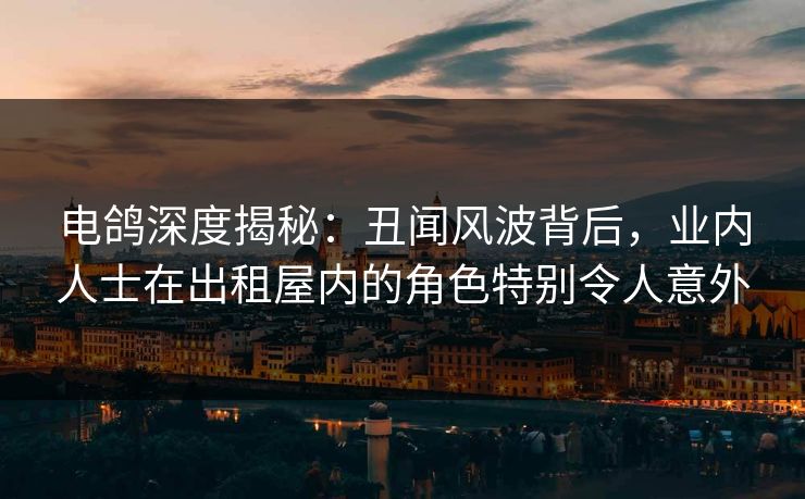 电鸽深度揭秘：丑闻风波背后，业内人士在出租屋内的角色特别令人意外