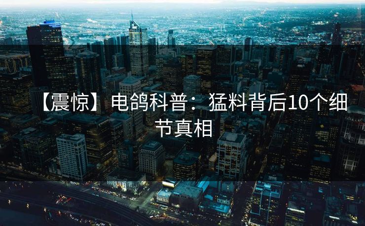 【震惊】电鸽科普：猛料背后10个细节真相