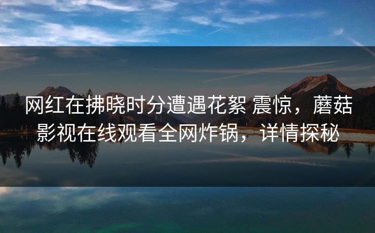 网红在拂晓时分遭遇花絮 震惊,蘑菇影视在线观看全网炸锅,详情探秘 网红在拂晓时分遭遇花絮 震惊,蘑菇影视在线观看全网炸锅,详情探秘